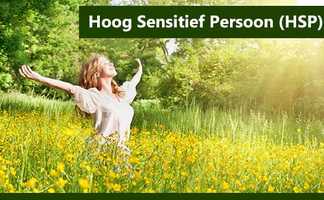 Free download HSP hoogsensitiviteit video and edit with RedcoolMedia movie maker MovieStudio video editor online and AudioStudio audio editor onlin