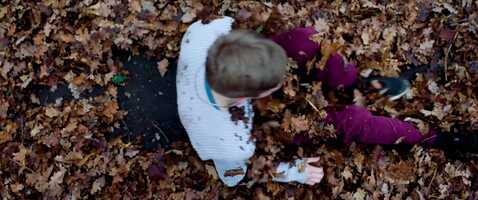 Free download HS_TRAILER_Extract video and edit with RedcoolMedia movie maker MovieStudio video editor online and AudioStudio audio editor onlin