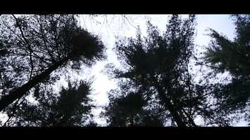 Free download HUB Lo Treffort | Un Air De Famille | Fiction video and edit with RedcoolMedia movie maker MovieStudio video editor online and AudioStudio audio editor onlin