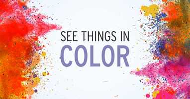 Free download Hu-Fried Paint Splash video and edit with RedcoolMedia movie maker MovieStudio video editor online and AudioStudio audio editor onlin