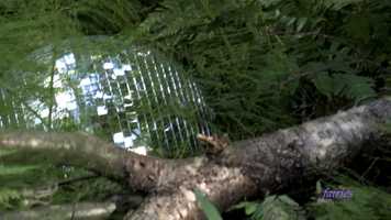 Free download Human Nature After Movie video and edit with RedcoolMedia movie maker MovieStudio video editor online and AudioStudio audio editor onlin