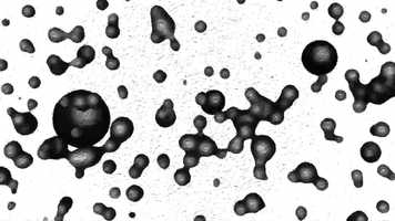 Free download Human Symbiosis video and edit with RedcoolMedia movie maker MovieStudio video editor online and AudioStudio audio editor onlin