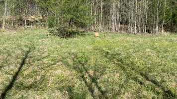 Free download Hunter Education Range Day Video video and edit with RedcoolMedia movie maker MovieStudio video editor online and AudioStudio audio editor onlin