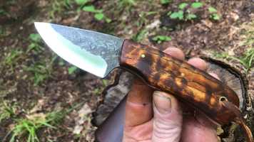 Free download Hunting, Carry  Skinner - High Figure Curly Ash video and edit with RedcoolMedia movie maker MovieStudio video editor online and AudioStudio audio editor onlin