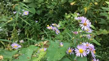 Free download HURTLING THROUGH SPACE video and edit with RedcoolMedia movie maker MovieStudio video editor online and AudioStudio audio editor onlin