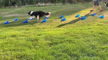 Free download Hush 850  900 cm video and edit with RedcoolMedia movie maker MovieStudio video editor online and AudioStudio audio editor onlin