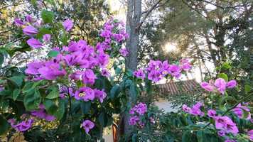 Free download Hvar 2020 GoPro Hero 8 Black 4K video and edit with RedcoolMedia movie maker MovieStudio video editor online and AudioStudio audio editor onlin