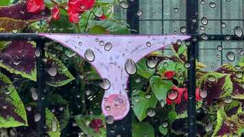 Free download Hybrid Animation Loop video and edit with RedcoolMedia movie maker MovieStudio video editor online and AudioStudio audio editor onlin