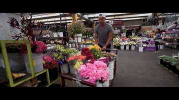 Free download Hyundais Nexo with Josh Duhamel video and edit with RedcoolMedia movie maker MovieStudio video editor online and AudioStudio audio editor onlin