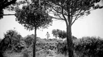 Free download I Always Wanted to Direct video and edit with RedcoolMedia movie maker MovieStudio video editor online and AudioStudio audio editor onlin