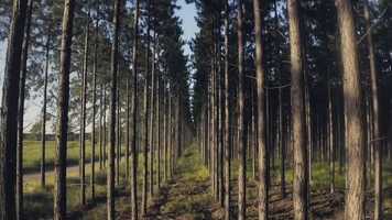 Free download I am Consciousness Film video and edit with RedcoolMedia movie maker MovieStudio video editor online and AudioStudio audio editor onlin