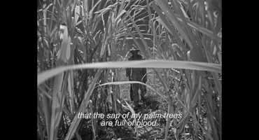 Free download I am Cuba (2019 4K Restoration Trailer) video and edit with RedcoolMedia movie maker MovieStudio video editor online and AudioStudio audio editor onlin