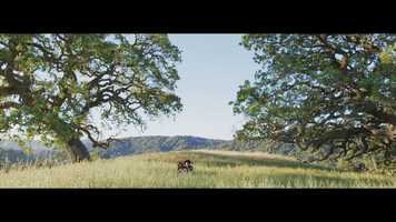 Free download IANYB - 48 Hour Film Challenge video and edit with RedcoolMedia movie maker MovieStudio video editor online and AudioStudio audio editor onlin