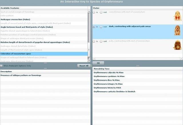 Download web tool or web app IBIS-ID Download web tool or web app IBIS-ID