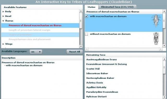 Download web tool or web app IBIS-ID Download web tool or web app IBIS-ID