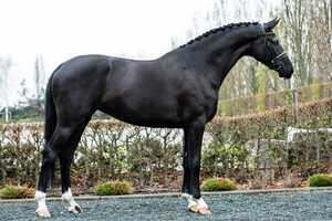 Free download Ibiza x Florencio  Mare, 174cm, 2017 video and edit with RedcoolMedia movie maker MovieStudio video editor online and AudioStudio audio editor onlin