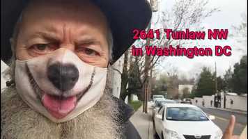 Free download IBM Russia - getting a visa video and edit with RedcoolMedia movie maker MovieStudio video editor online and AudioStudio audio editor onlin