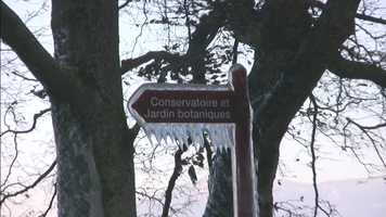 Free download Ice Age video and edit with RedcoolMedia movie maker MovieStudio video editor online and AudioStudio audio editor onlin