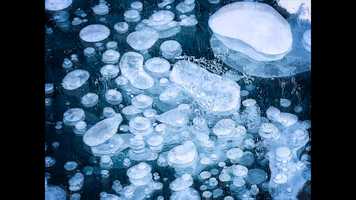 Free download ICE BUBBLES ANIMATION video and edit with RedcoolMedia movie maker MovieStudio video editor online and AudioStudio audio editor onlin