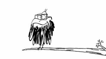 Free download If I were a bird... video and edit with RedcoolMedia movie maker MovieStudio video editor online and AudioStudio audio editor onlin