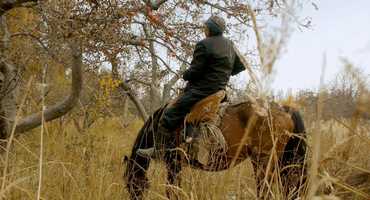 Free download #ifsfilmderwoche: Bosteri unterm Rad video and edit with RedcoolMedia movie maker MovieStudio video editor online and AudioStudio audio editor onlin