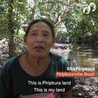 Free download If they kill them, there wont be anyone left video and edit with RedcoolMedia movie maker MovieStudio video editor online and AudioStudio audio editor onlin