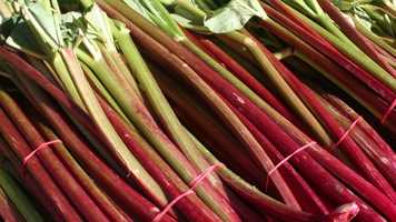 Free download If you build it, they will comeBringing Pro Baseball to Utica work 3, history of Utica video and edit with RedcoolMedia movie maker MovieStudio video editor online and AudioStudio audio editor onlin