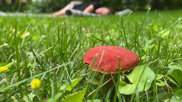 Free download I have a son! video and edit with RedcoolMedia movie maker MovieStudio video editor online and AudioStudio audio editor onlin