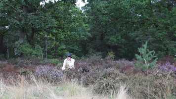 Free download IJustKnowHowToBreathe video and edit with RedcoolMedia movie maker MovieStudio video editor online and AudioStudio audio editor onlin