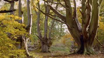 Free download I LOVE FILMING IN... ENGLANDS SOUTH EAST video and edit with RedcoolMedia movie maker MovieStudio video editor online and AudioStudio audio editor onlin