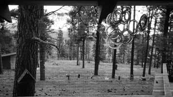 Free download Il pleure sans raison video and edit with RedcoolMedia movie maker MovieStudio video editor online and AudioStudio audio editor onlin