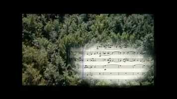 Free download Il prato - Ennio Morricone - Trascriz. per flauto traverso, archi e chitarra di Matteo Mosca video and edit with RedcoolMedia movie maker MovieStudio video editor online and AudioStudio audio editor onlin