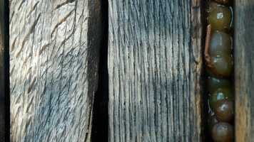 Free download Il suono rosso video and edit with RedcoolMedia movie maker MovieStudio video editor online and AudioStudio audio editor onlin