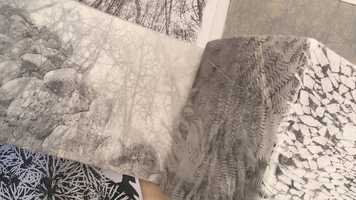 Free download Image Transfer | Why use this technique? video and edit with RedcoolMedia movie maker MovieStudio video editor online and AudioStudio audio editor onlin