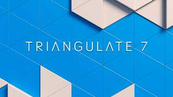 Free download Image Triangulator App Demo Video video and edit with RedcoolMedia movie maker MovieStudio video editor online and AudioStudio audio editor onlin