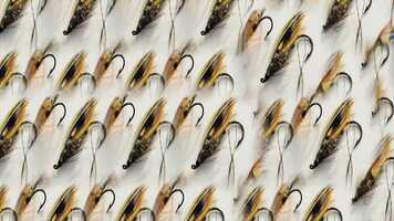 Free download Imaginalia Revisited - Espen Sommer Eide (Lydgalleriet, 2019) video and edit with RedcoolMedia movie maker MovieStudio video editor online and AudioStudio audio editor onlin