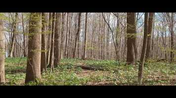 Free download Imagine Indiana Thank You video and edit with RedcoolMedia movie maker MovieStudio video editor online and AudioStudio audio editor onlin