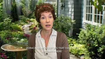 Free download IMAGINING RACHEL - trailer 2 video and edit with RedcoolMedia movie maker MovieStudio video editor online and AudioStudio audio editor onlin