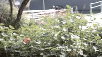 Free download IMG_5431.MOV video and edit with RedcoolMedia movie maker MovieStudio video editor online and AudioStudio audio editor onlin