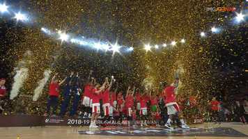 Free download IMG_Stand Video Wall_EuroLeague FInal 4_Basketball_1080 video and edit with RedcoolMedia movie maker MovieStudio video editor online and AudioStudio audio editor onlin