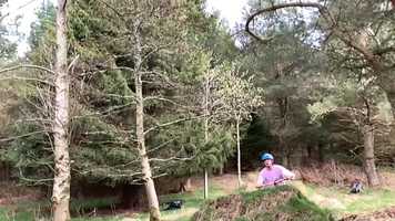 Free download i move fun test video and edit with RedcoolMedia movie maker MovieStudio video editor online and AudioStudio audio editor onlin