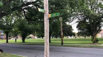 Free download In class quick film video and edit with RedcoolMedia movie maker MovieStudio video editor online and AudioStudio audio editor onlin