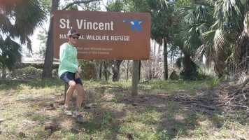 Free download Indian Pass 2020 video and edit with RedcoolMedia movie maker MovieStudio video editor online and AudioStudio audio editor onlin