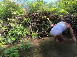 Free download Indonesia Fall 2018 video and edit with RedcoolMedia movie maker MovieStudio video editor online and AudioStudio audio editor onlin