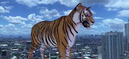 Free download In my dreams, animals have taken over the city video and edit with RedcoolMedia movie maker MovieStudio video editor online and AudioStudio audio editor onlin