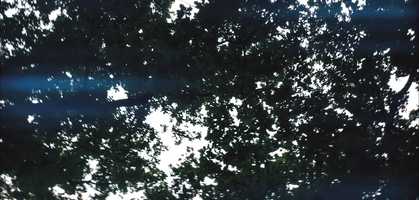 Free download Insight Trailer video and edit with RedcoolMedia movie maker MovieStudio video editor online and AudioStudio audio editor onlin