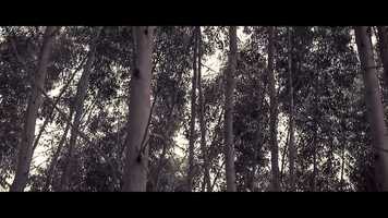 Free download INSPIRACIÓN video and edit with RedcoolMedia movie maker MovieStudio video editor online and AudioStudio audio editor onlin