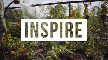 Free download Inspire video and edit with RedcoolMedia movie maker MovieStudio video editor online and AudioStudio audio editor onlin