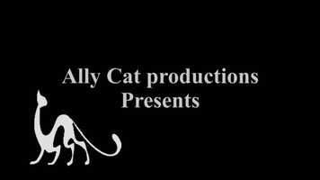 Free download Installation draft 5 No Music.mov video and edit with RedcoolMedia movie maker MovieStudio video editor online and AudioStudio audio editor onlin