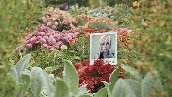 Free download Instant Memories | After Effects Project Files - Videohive template video and edit with RedcoolMedia movie maker MovieStudio video editor online and AudioStudio audio editor onlin